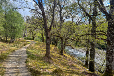 Walk photo