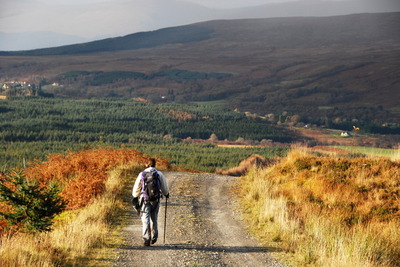 Walk photo