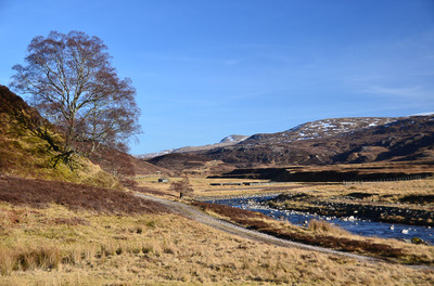 Walk photo