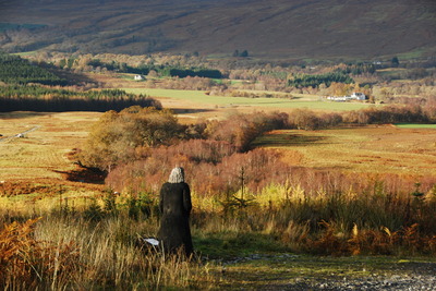 Walk photo