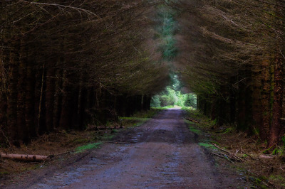 Walk photo