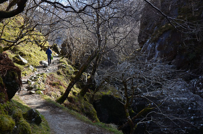 Walk photo