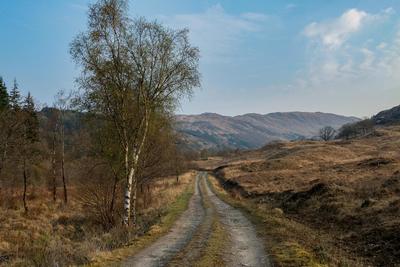 Walk photo