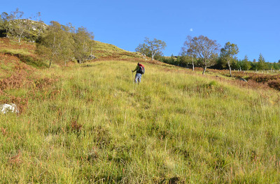 Walk photo