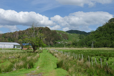 Walk photo