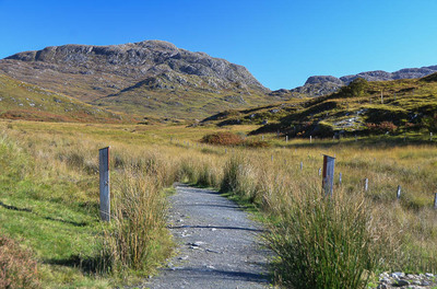 Walk photo