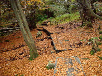 Walk photo