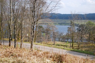 Walk photo