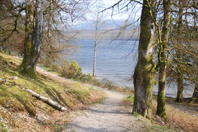 Walk photo
