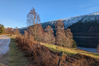 Walk photo
