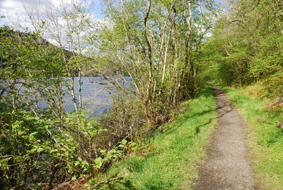 Walk photo
