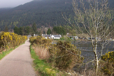 Walk photo