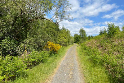 Walk photo