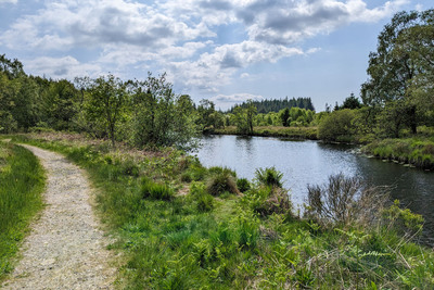 Walk photo