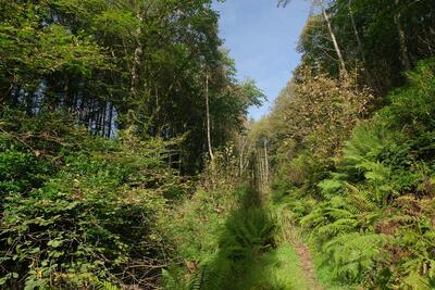 Walk photo