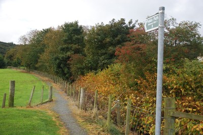 Walk photo