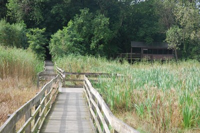 Walk photo