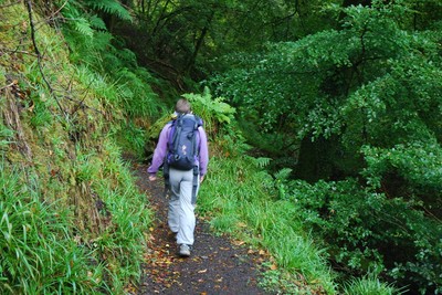 Walk photo