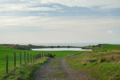 Walk photo