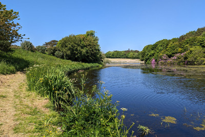 Walk photo