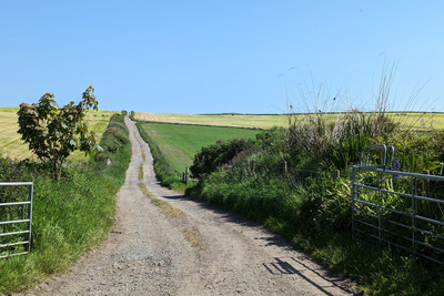 Walk photo