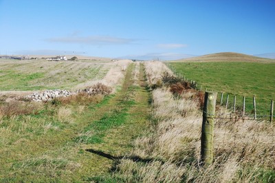 Walk photo
