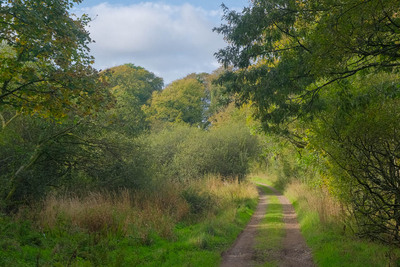 Walk photo