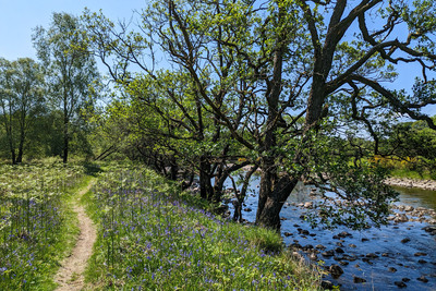 Walk photo