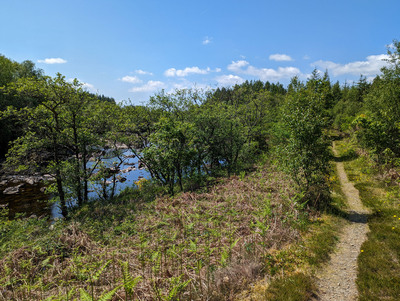 Walk photo