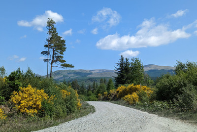Walk photo