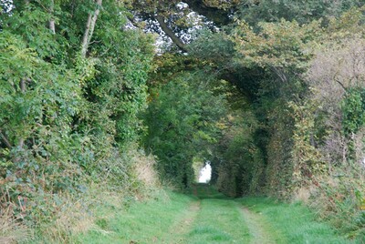 Walk photo