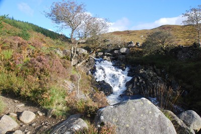 Walk photo
