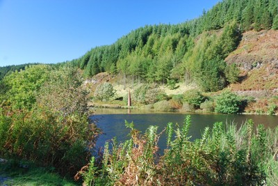 Walk photo