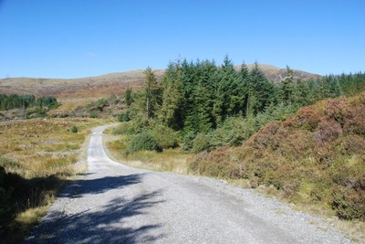 Walk photo