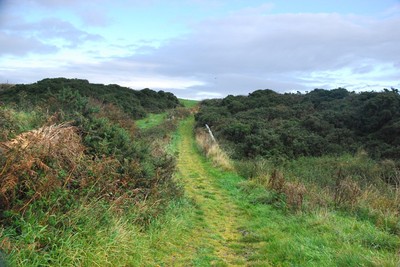 Walk photo