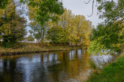 Walk photo