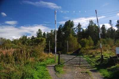 Walk photo