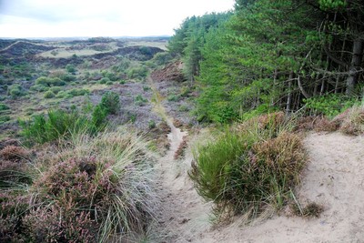 Walk photo