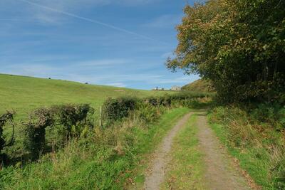 Walk photo