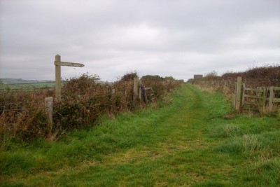 Walk photo