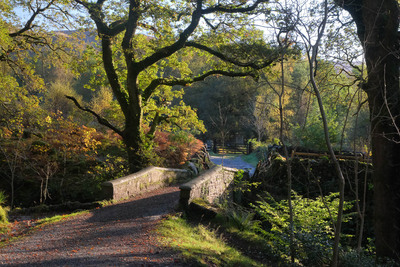 Walk photo