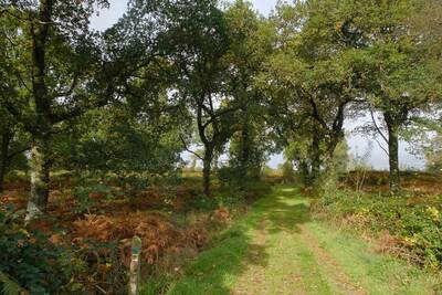 Walk photo