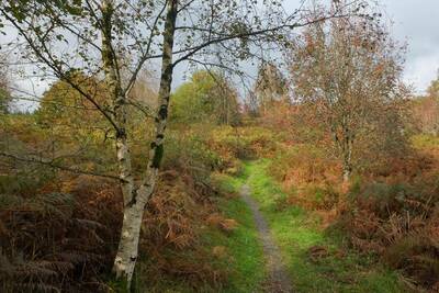 Walk photo