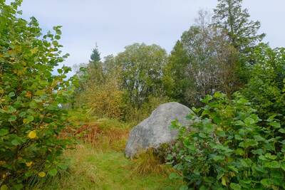 Walk photo