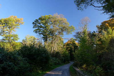 Walk photo