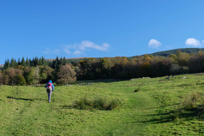 Walk photo