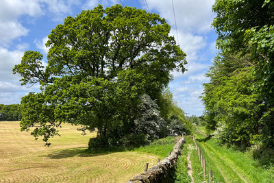 Walk photo