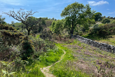 Walk photo