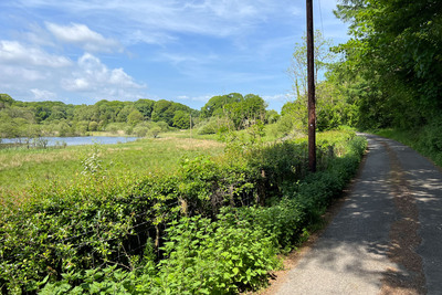 Walk photo