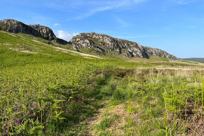 Walk photo